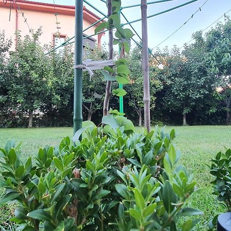 Vila Vasile Năvodari Exterior foto