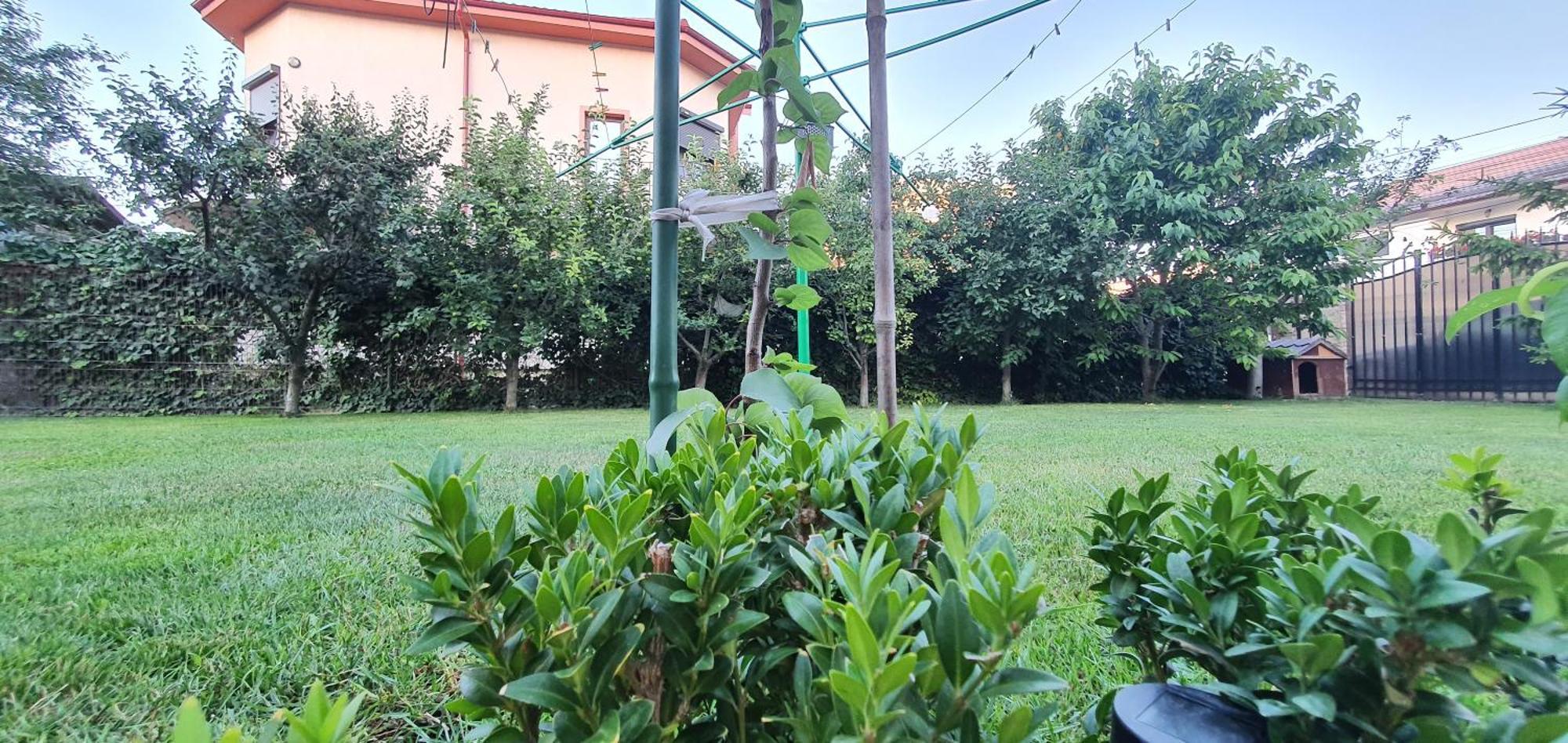 Vila Vasile Năvodari Exterior foto